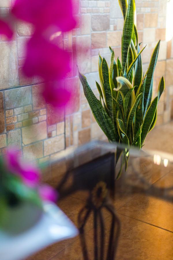 Merida Serviced Apartments Bagian luar foto